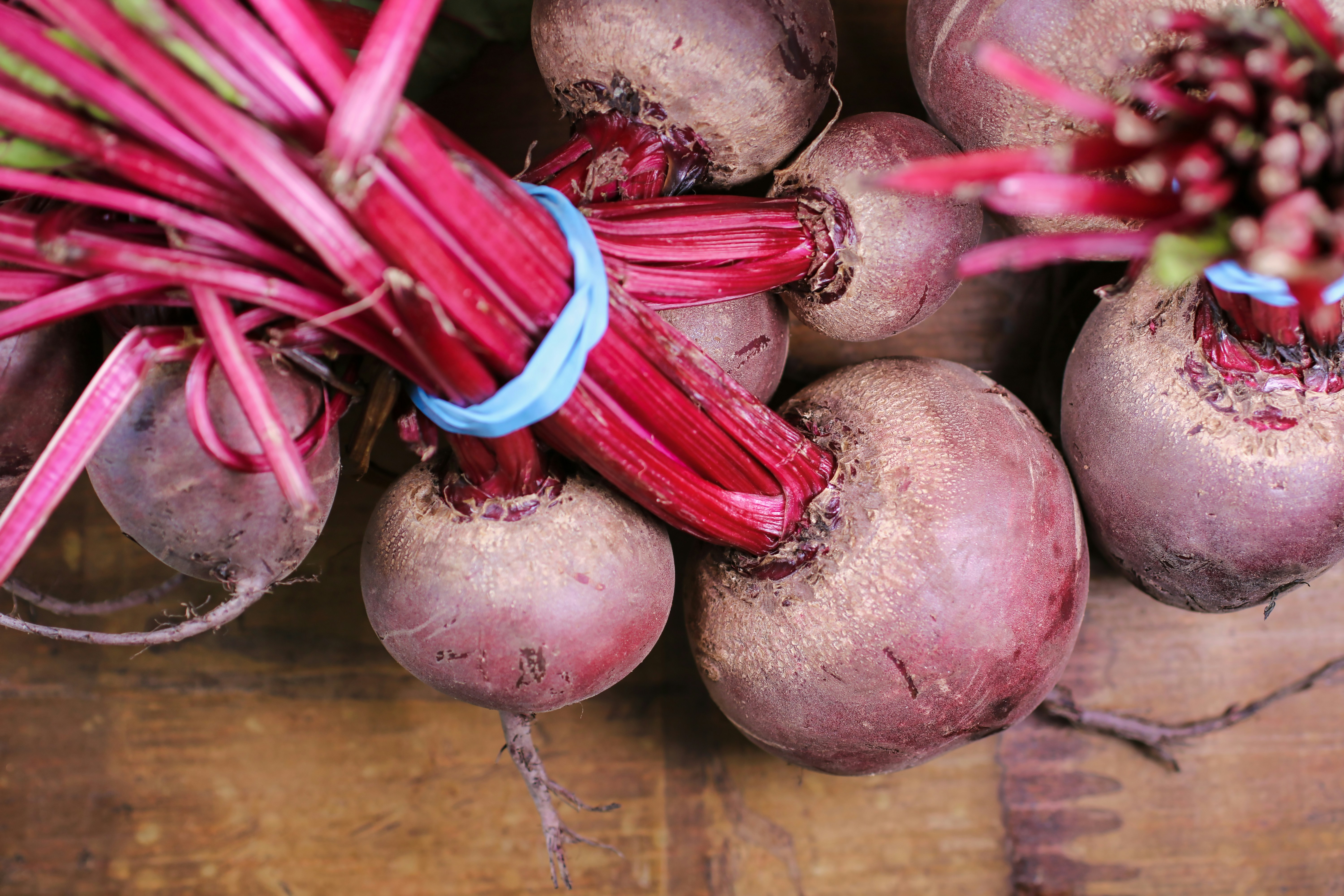 SUGARBEET PRODUCTION