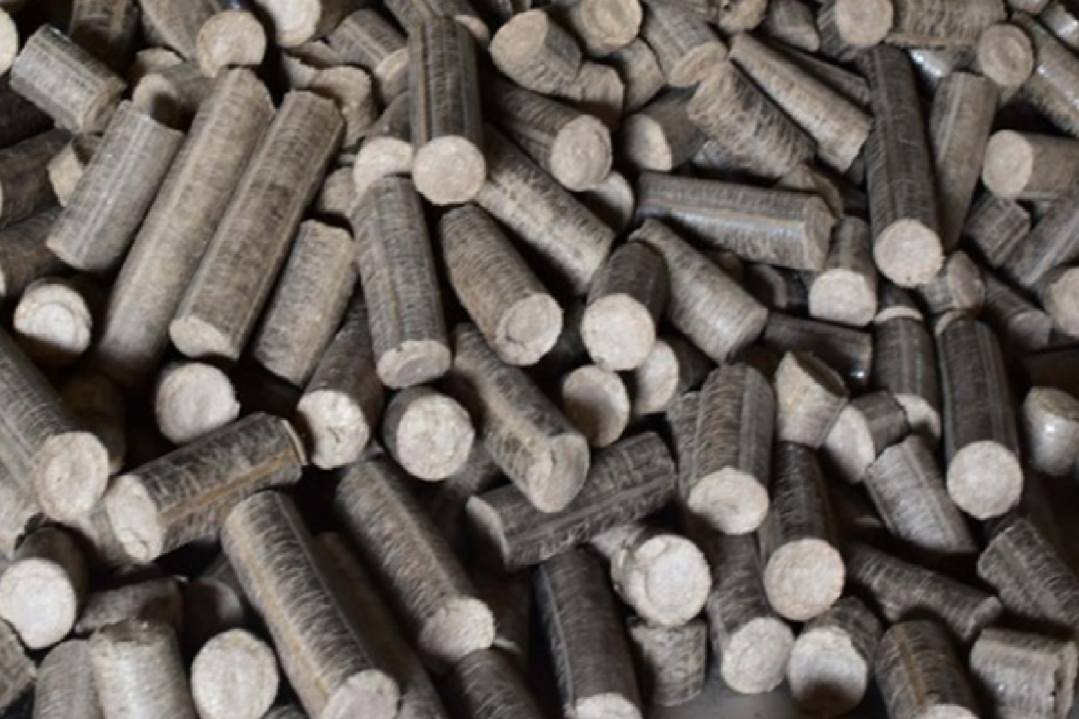 BAGASSE BRIQUETTE BUSINESS